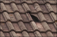 Roof repairs Wakefield